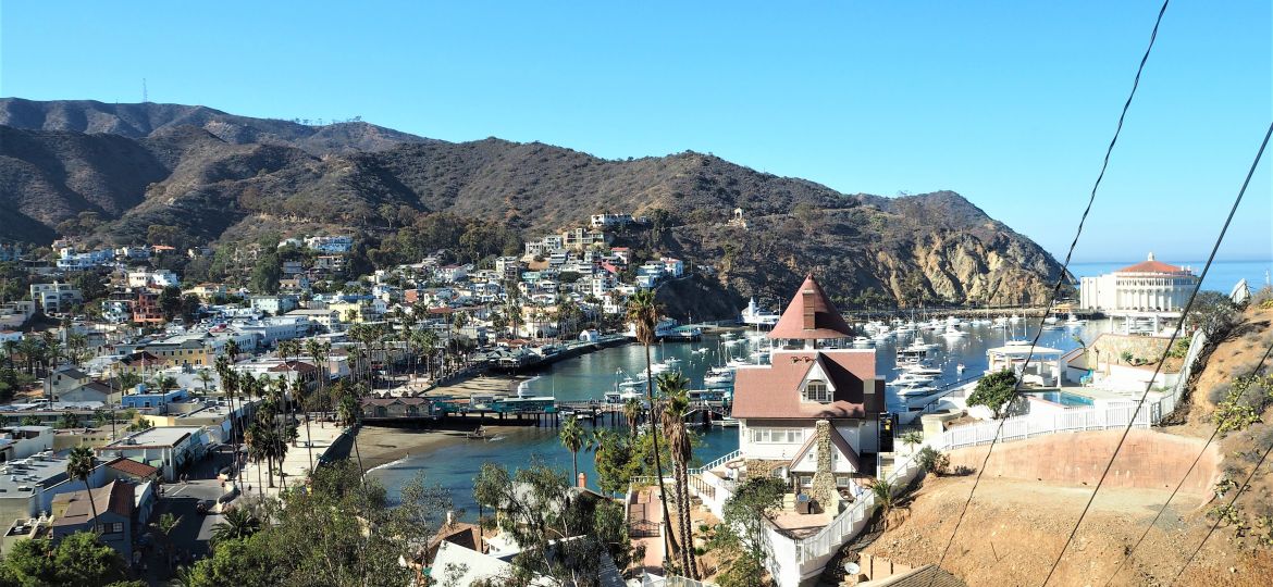 fun things to do in catalina island