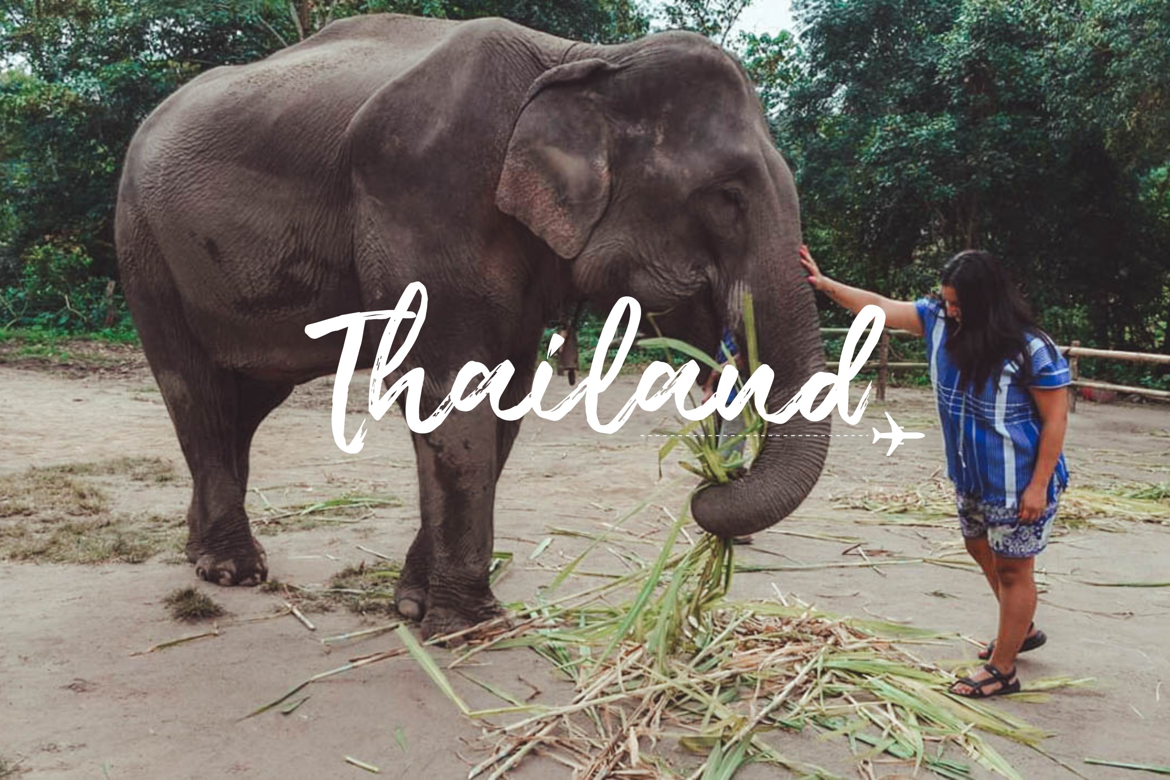 Thailand - Life Beyond Home