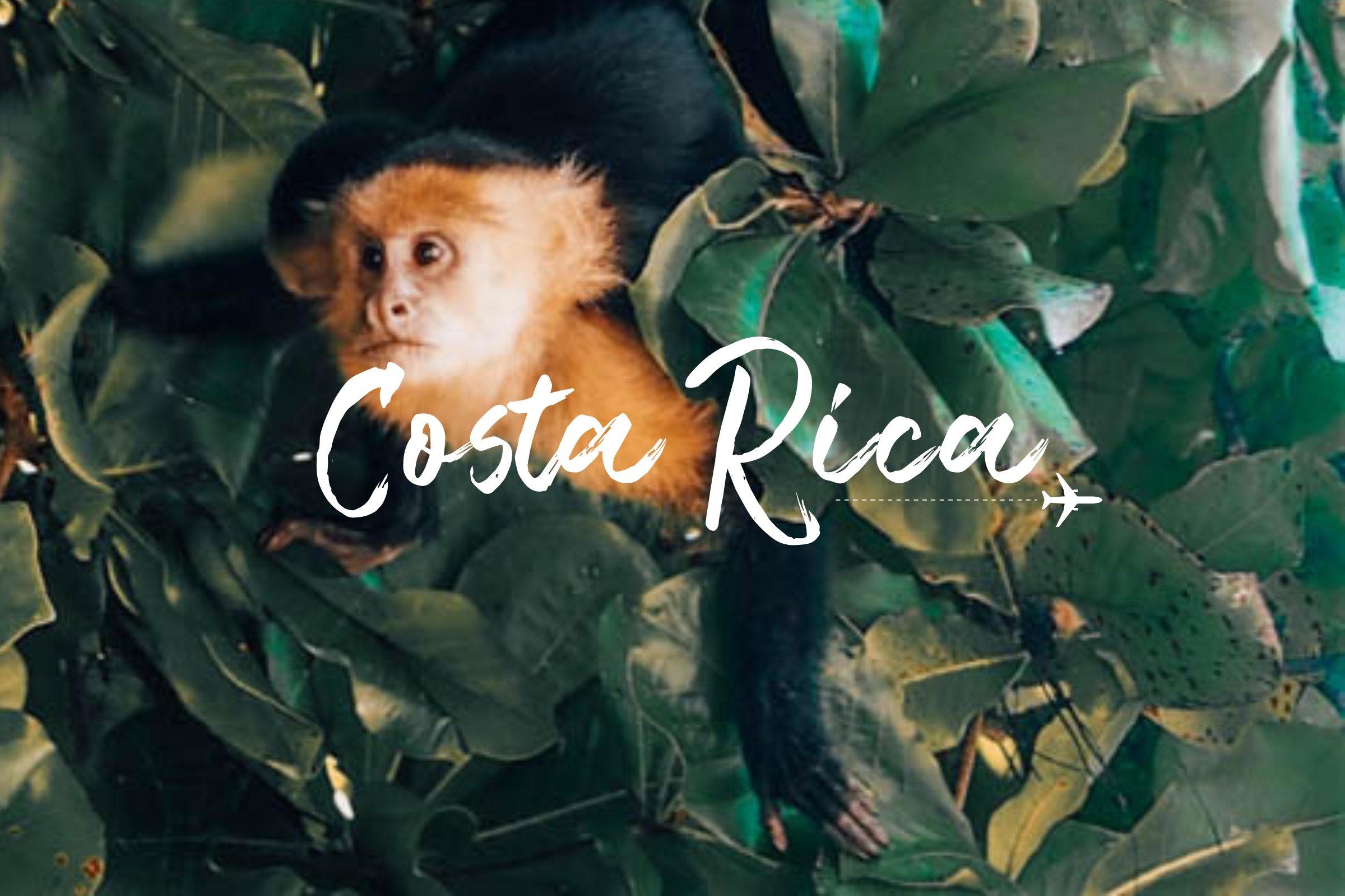 Costa Rica - Life Beyond Home